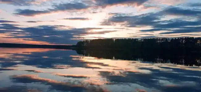 Смородина - 150