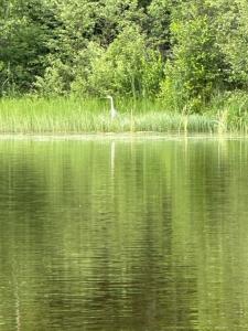 Sutoki Villa с видом на водохранилище - 30