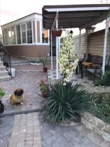 - 100