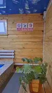 Усадьба Цвет папоротника - 22