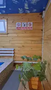 Усадьба Цвет папоротника - 6