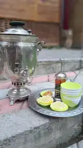 Усадьба Цвет папоротника - 25