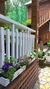 Усадьба Цвет папоротника - 31