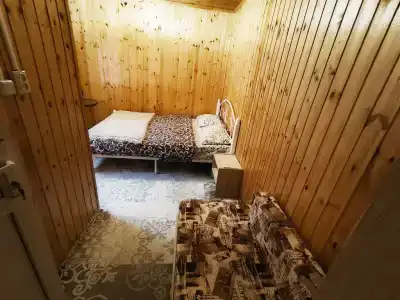 Феникс - 49