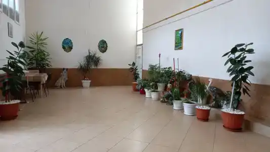 Любимый дворик - 35