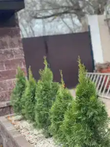 Бристоль - 2