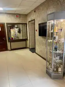 Бристоль - 4