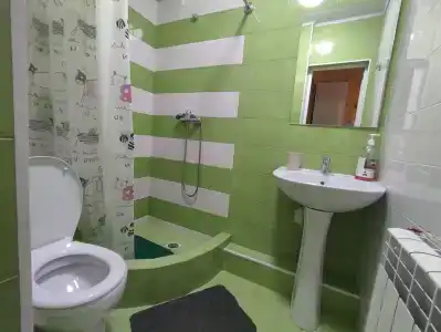 Феникс - 57