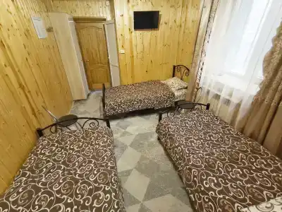 Феникс - 56