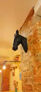 Бокстел - 26