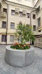 Бокстел - 51