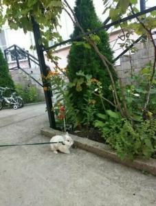 Vid na More Tuapse - 20