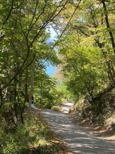Vid na More Tuapse - 18