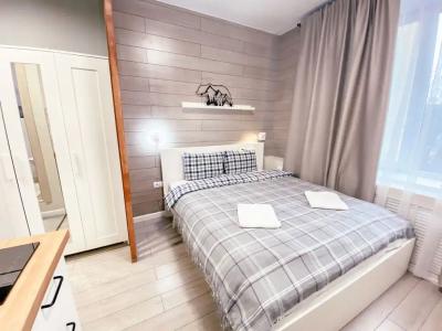 Arctic studios 2. центр города - 21