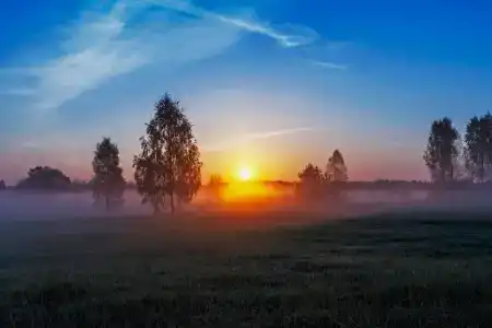 Родное - 24