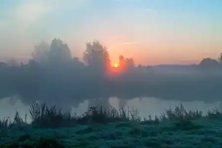 Родное - 9