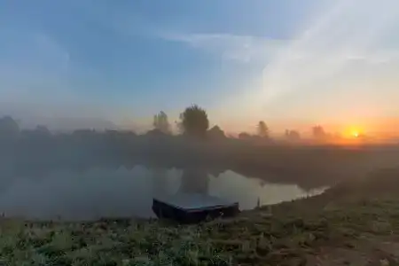 Родное - 14