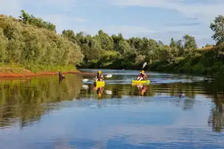 Родное - 17