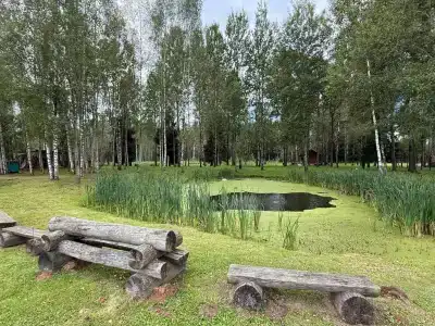 Родное - 12
