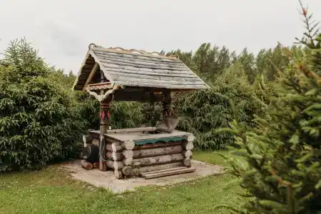 Родное - 13