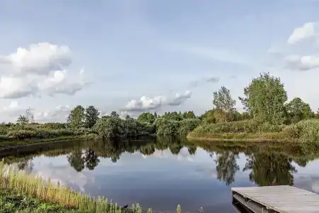 Родное - 25
