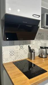 Arctic studios 2. центр города - 68