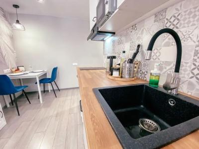 Arctic studios 2. центр города - 76