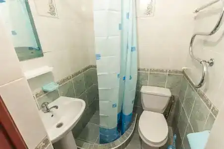 Сосны - 5