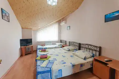 Сосны - 7