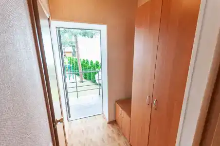 Сосны - 8