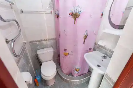 Сосны - 9