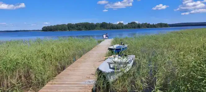 Чайкина дача - 131