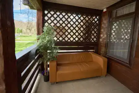 Каштан - 47