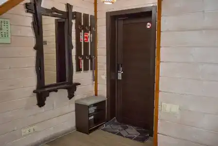 Каштан - 65