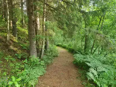 Пространство мечты - 80