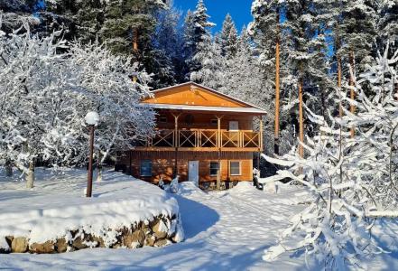 Пространство мечты - 31