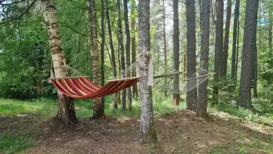 Пространство мечты - 117