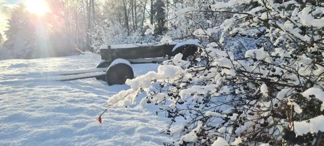 Пространство мечты - 96