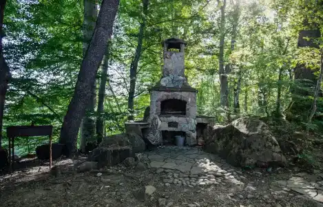 Никель - 16