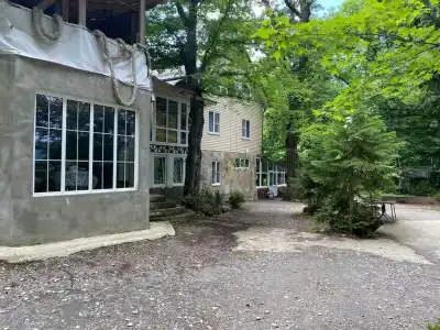 Никель - 25