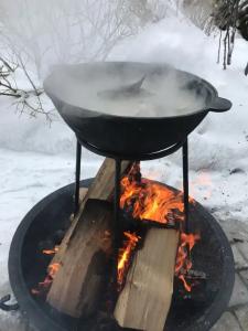 Старая Провинция - 110