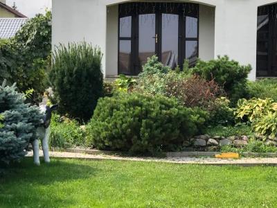 Старая Провинция - 122