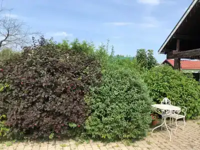 Старая Провинция - 151