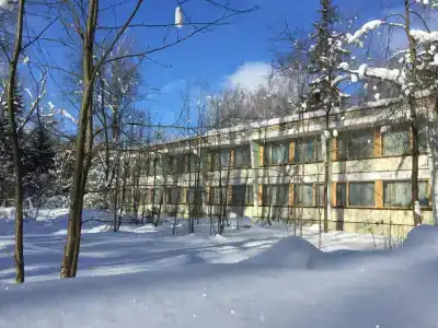 Ежик - 3
