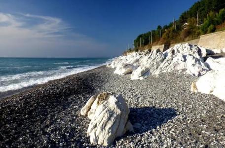 Петрович - 43