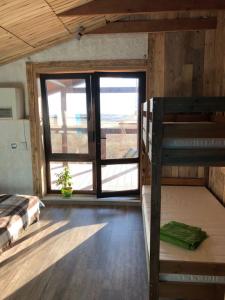 Фридом Веселовка - 149