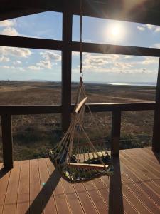 Фридом Веселовка - 172