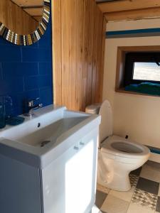 Фридом Веселовка - 162