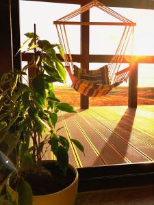 Фридом Веселовка - 171