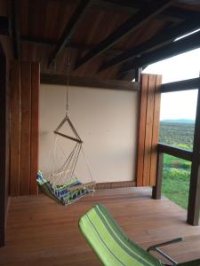 Фридом Веселовка - 169